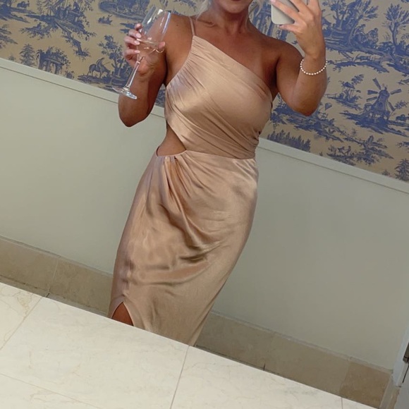 Shona Joy Asymmetrical Gathered Maxi Dress Desert Rose size 4 (worn once) 🩷 - Picture 11 of 11